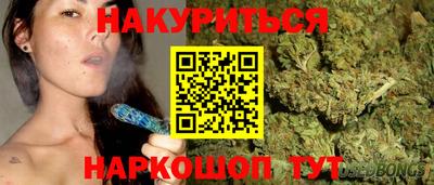 прущие крисы Камышлов