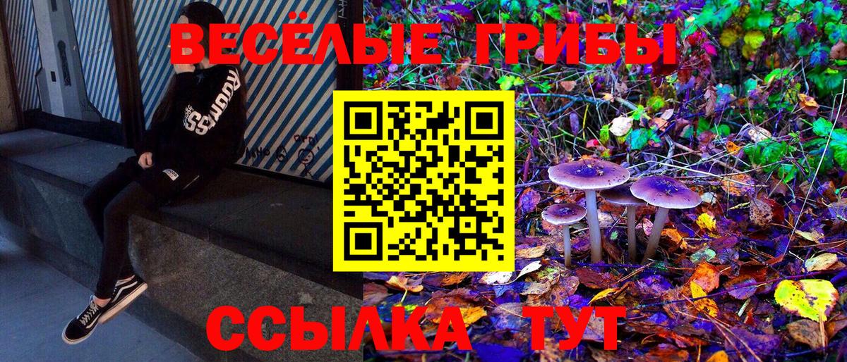 Михайловка  Псилоцибиновые грибы GOLDEN TEACHER  Вход с VPN 